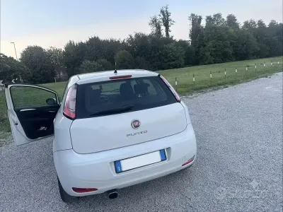 Usata Fiat Punto 69 CV (50 kW) 2014 Utilitaria