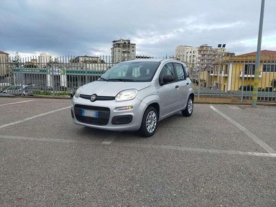 Usata Fiat Panda Pop 69 CV (50 kW) 2020 Grigio Utilitaria
