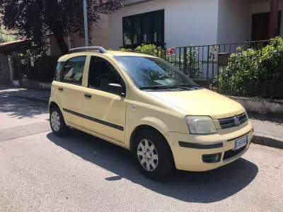 Usata Fiat Panda Dynamic 60 CV (44 kW) 2009 Giallo Utilitaria
