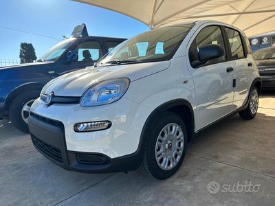 usata Fiat Panda Panda 1.0 FireFly S&S Hybrid