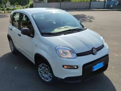 Käytetty Fiat Panda S 69 HP (50 kW) 2024 Valkoinen Viistoperä