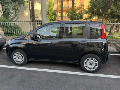 Usata Fiat Panda Cross Cross 69 CV (50 kW) 2021 Utilitaria