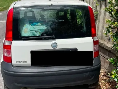 Usata Fiat Panda Active 54 CV (39 kW) 2007 Bianco Utilitaria