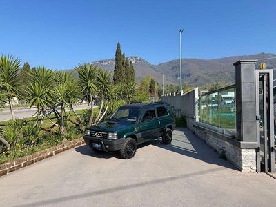 Usata Fiat Panda 4x4 Club 50 CV (36 kW) 1993 Utilitaria