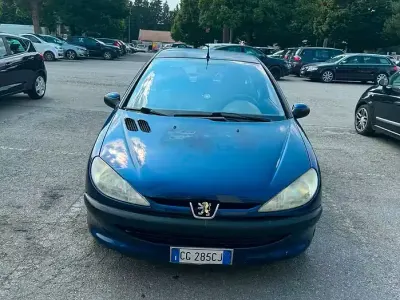 Usata Peugeot 206