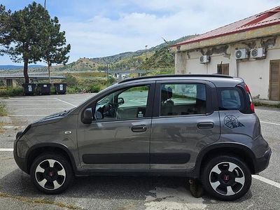 Usata Fiat Panda 85 CV (62 kW) 2021 Grigio Utilitaria