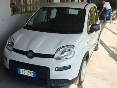 Usata Fiat Panda S 69 CV (50 kW) 2023 Bianco Utilitaria