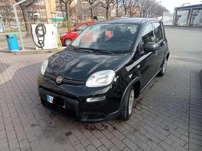Usata Fiat Panda S 69 CV (50 kW) 2023 Utilitaria