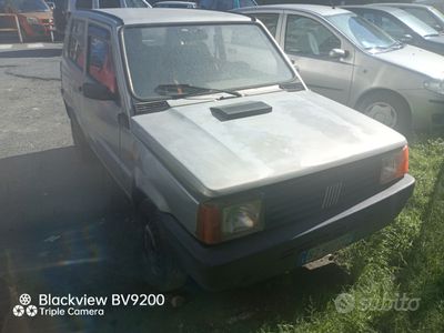 usata Fiat Panda 