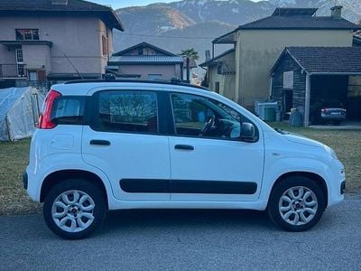 Usata Fiat Panda 69 CV (50 kW) 2013 Bianco Utilitaria