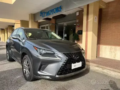 Usata Lexus NX300h Business Edition 155 CV (114 kW) 2019 Grigio SUV