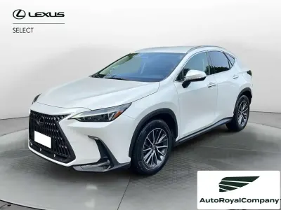 Usata Lexus NX300h 309 CV (227 kW) 2022 Bianco SUV
