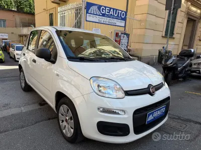Usata Fiat Panda Easy 69 CV (50 kW) 2019 Bianco Utilitaria