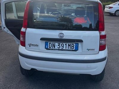 Usata Fiat Panda 2008 Bianco Utilitaria