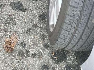 Usata VW Golf IV Comfortline 140 CV (102 kW) 2005 Berlina