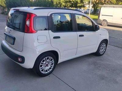 Usata Fiat Panda Active 69 CV (50 kW) 2012 Bianco Utilitaria