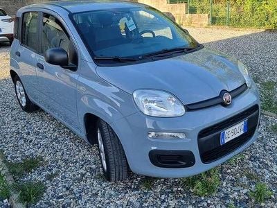 Begagnad Fiat Panda S 69 HK (50 kW) 2021 Halvkombi