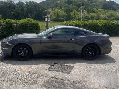 Usata Ford Mustang Fastback 290 CV (213 kW) 2019 Grigio Coupé