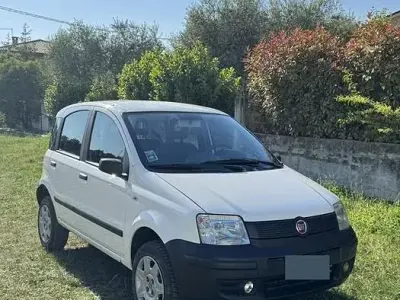 Usata Fiat Panda 4x4 60 CV (44 kW) 2008 Utilitaria
