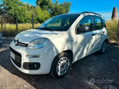 Usata Fiat Panda Easy 69 CV (50 kW) 2014 Bianco Utilitaria