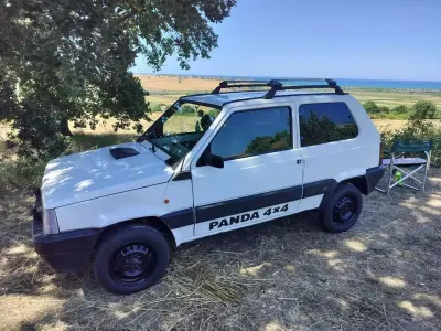 Usata Fiat Panda 4x4