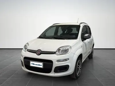 Usata Fiat Panda Lounge 85 CV (62 kW) 2015 Bianco Utilitaria