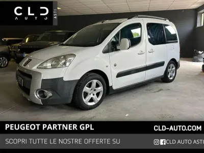Usata Peugeot TePee