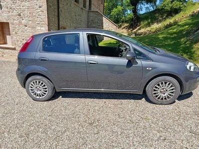 Usata Fiat Punto Lounge 69 CV (50 kW) 2016 Utilitaria