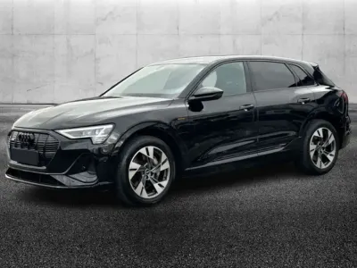 Usata Audi e-tron