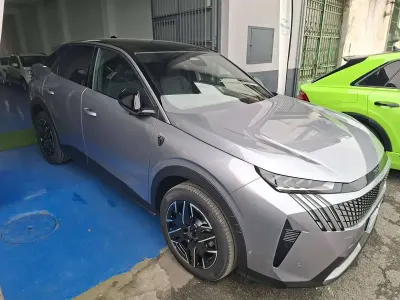 Usata Peugeot 3008