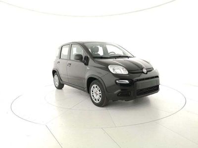 usata Fiat Panda 1.2 Active EasyPower nuovo