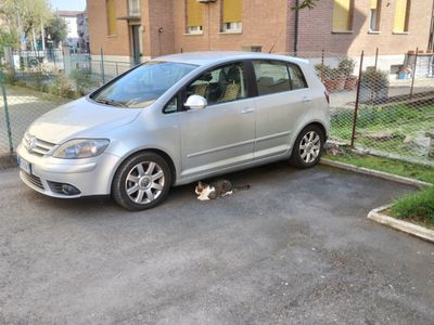 usata VW Golf V Golf 1.9 TDI 5p. Comfortline