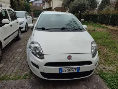 Usata Fiat Punto Easy 69 CV (50 kW) 2013 Bianco Utilitaria