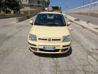 Usata Fiat Panda Dynamic 69 CV (50 kW) 2010 Giallo Utilitaria