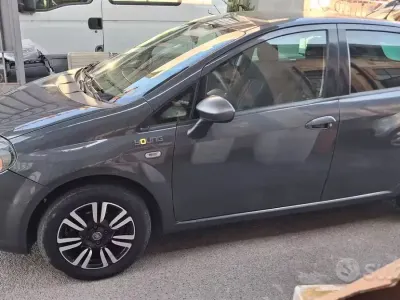 Usata Fiat Punto Young 69 CV (50 kW) 2014 Grigio Utilitaria