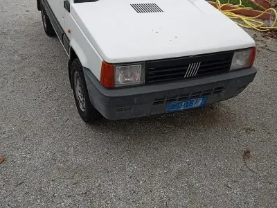 Usata Fiat Panda 4x4 54 CV (39 kW) 2002 Bianco Utilitaria