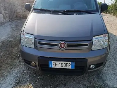 Usata Fiat Panda 4x4