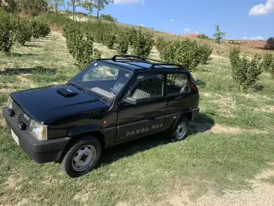 Usata Fiat Panda 4x4 50 CV (36 kW) 1998 Nero Utilitaria