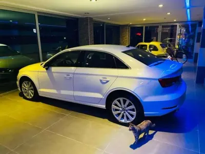 Usata Audi A3 Business 116 CV (85 kW) 2019 Other Berlina
