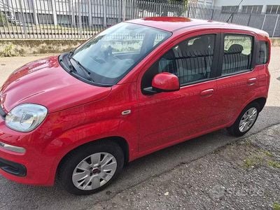 Usata Fiat Panda Easy 69 CV (50 kW) 2018 Rosso Utilitaria