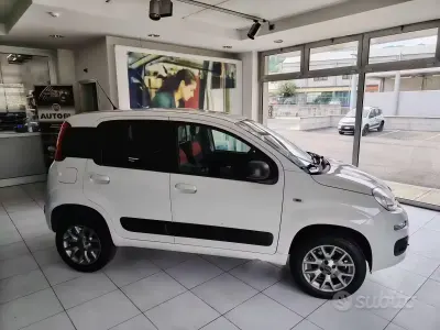 Usata Fiat Panda 4x4 80 CV (58 kW) 2017 Bianco Utilitaria