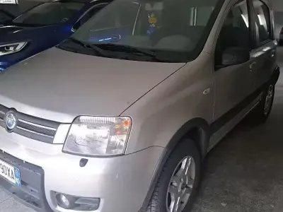 Usata Fiat Panda 4x4 Climbing 60 CV (44 kW) 2005 Grigio Utilitaria