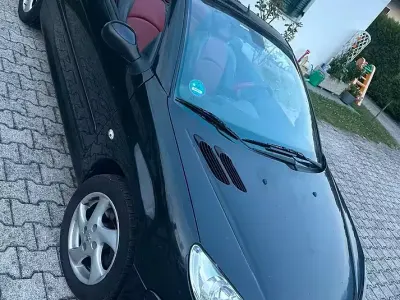Usata Peugeot 206
