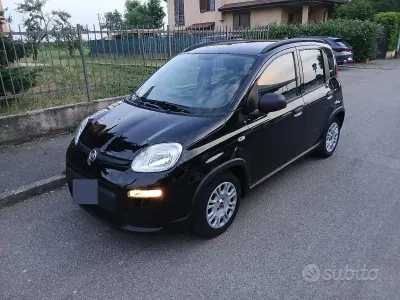 Usata Fiat Panda City Life 70 CV (51 kW) 2023 Nero Utilitaria