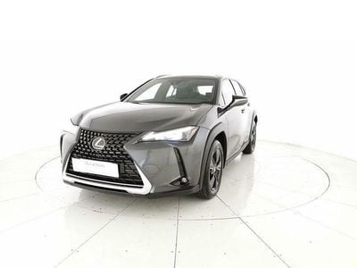 Usata Lexus UX 250h 184 CV (135 kW) 2023 Grigio SUV