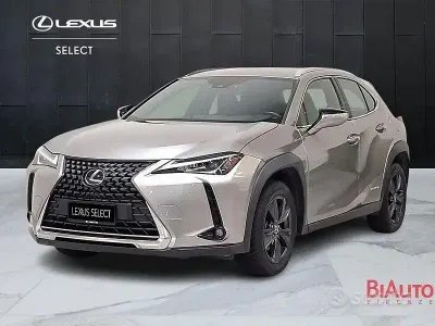 Usata Lexus UX 250h