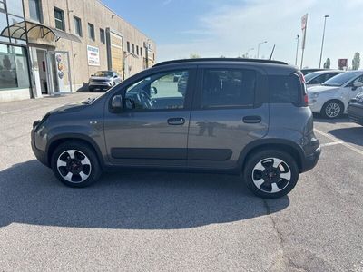 usata Fiat Panda Cross Cross 1.0 FireFly S&S Hybrid del 2023 usata a Verdello