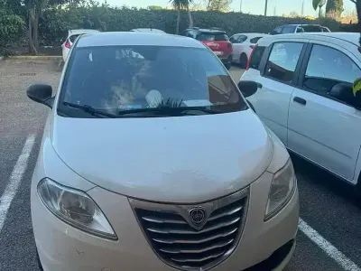 Usata Lancia Ypsilon 69 CV (50 kW) 2013 Bianco Utilitaria