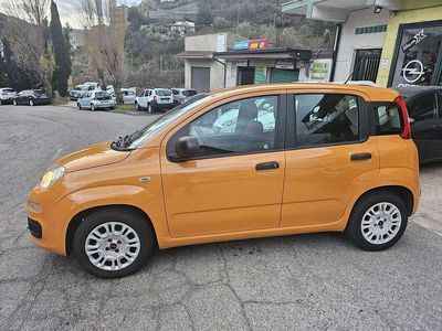 Usata Fiat Panda Easy 69 CV (50 kW) 2017 Arancione Utilitaria