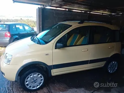 Usata Fiat Panda 4x4 Climbing 60 CV (44 kW) 2005 Giallo Utilitaria